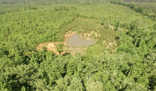 Photo #19 of SOLD property in Doswell Town Road, Meherrin, VA 55.7 acres