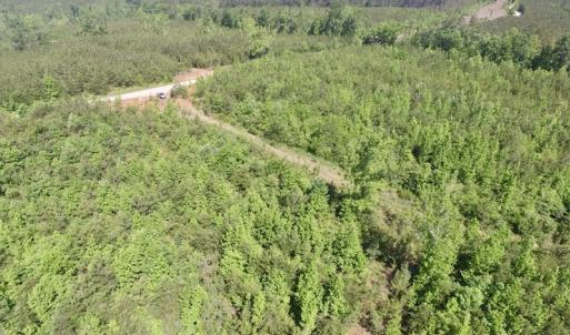 Photo #22 of SOLD property in Doswell Town Road, Meherrin, VA 55.7 acres