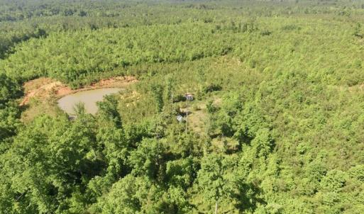 Photo #23 of SOLD property in Doswell Town Road, Meherrin, VA 55.7 acres