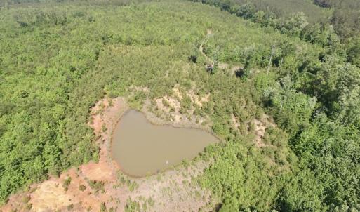 Photo #24 of SOLD property in Doswell Town Road, Meherrin, VA 55.7 acres