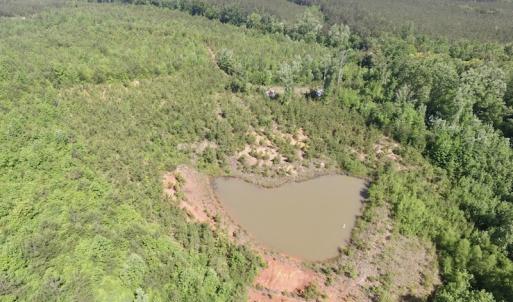 Photo #26 of SOLD property in Doswell Town Road, Meherrin, VA 55.7 acres