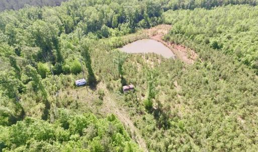 Photo #27 of SOLD property in Doswell Town Road, Meherrin, VA 55.7 acres
