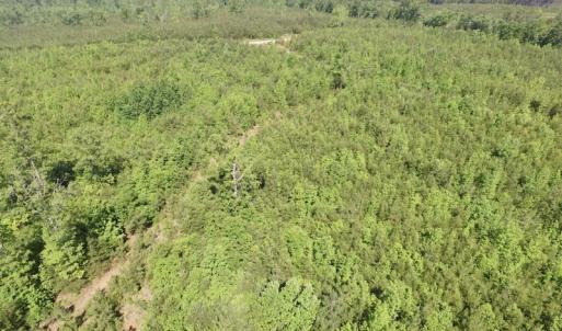 Photo #29 of SOLD property in Doswell Town Road, Meherrin, VA 55.7 acres