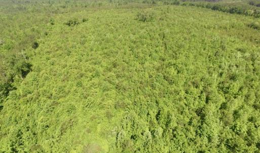 Photo #30 of SOLD property in Doswell Town Road, Meherrin, VA 55.7 acres