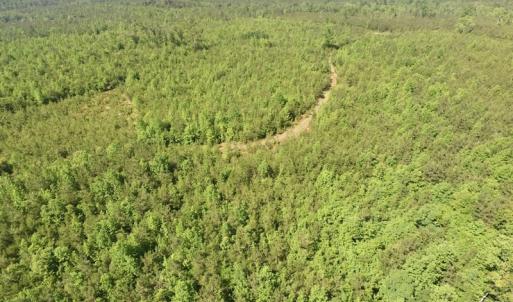 Photo #31 of SOLD property in Doswell Town Road, Meherrin, VA 55.7 acres