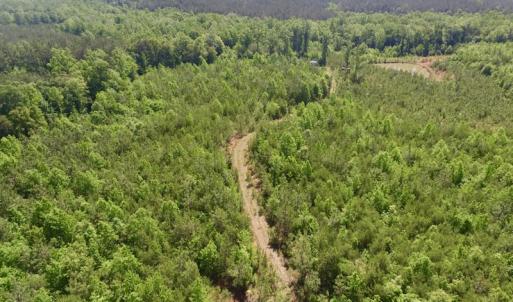 Photo #32 of SOLD property in Doswell Town Road, Meherrin, VA 55.7 acres