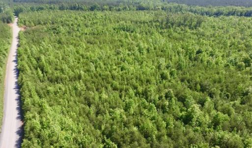Photo #33 of SOLD property in Doswell Town Road, Meherrin, VA 55.7 acres