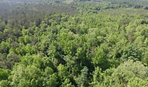 Photo #34 of SOLD property in Doswell Town Road, Meherrin, VA 55.7 acres