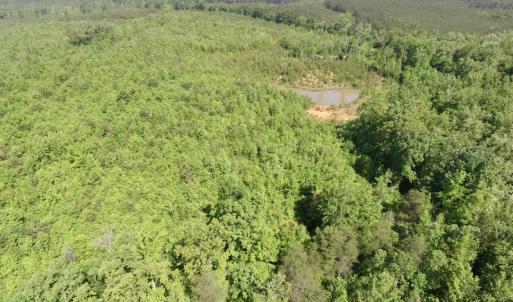 Photo #35 of SOLD property in Doswell Town Road, Meherrin, VA 55.7 acres