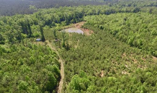 Photo #36 of SOLD property in Doswell Town Road, Meherrin, VA 55.7 acres