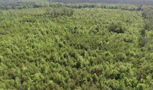 Photo #37 of SOLD property in Doswell Town Road, Meherrin, VA 55.7 acres