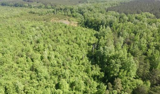 Photo #39 of SOLD property in Doswell Town Road, Meherrin, VA 55.7 acres