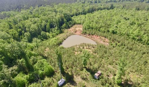 Photo #41 of SOLD property in Doswell Town Road, Meherrin, VA 55.7 acres