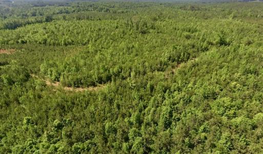 Photo #43 of SOLD property in Doswell Town Road, Meherrin, VA 55.7 acres