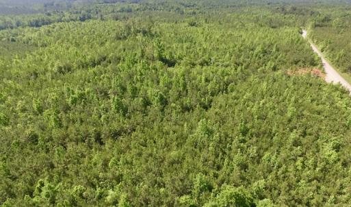 Photo #47 of SOLD property in Doswell Town Road, Meherrin, VA 55.7 acres