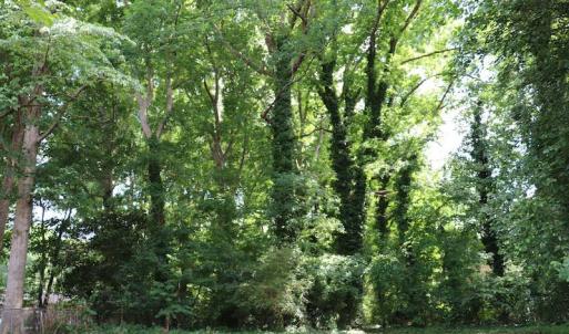 Photo #9 of SOLD property in 5013 Cindy Drive, Raleigh, NC 0.4 acres