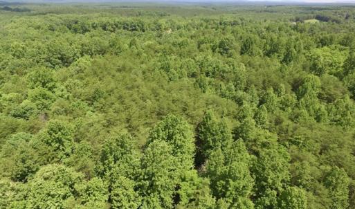 Photo #10 of SOLD property in Off Warminster Church Rd, Buckingham, VA 49.5 acres