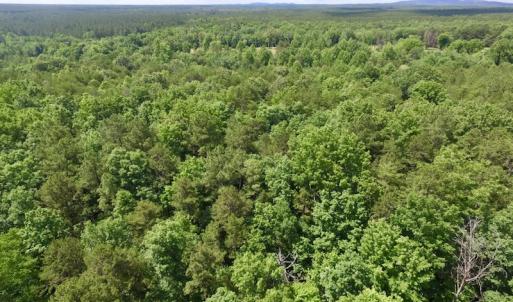 Photo #11 of SOLD property in Off Warminster Church Rd, Buckingham, VA 49.5 acres