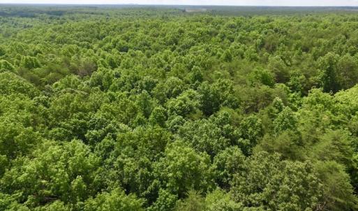 Photo #12 of SOLD property in Off Warminster Church Rd, Buckingham, VA 49.5 acres