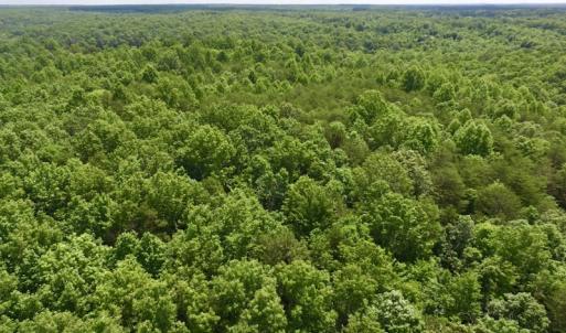 Photo #13 of SOLD property in Off Warminster Church Rd, Buckingham, VA 49.5 acres