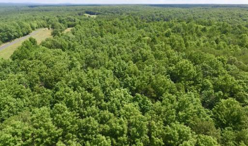 Photo #14 of SOLD property in Off Warminster Church Rd, Buckingham, VA 49.5 acres
