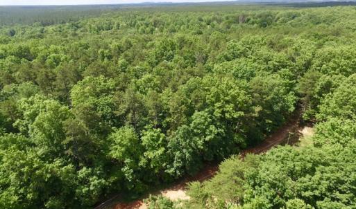 Photo #15 of SOLD property in Off Warminster Church Rd, Buckingham, VA 49.5 acres