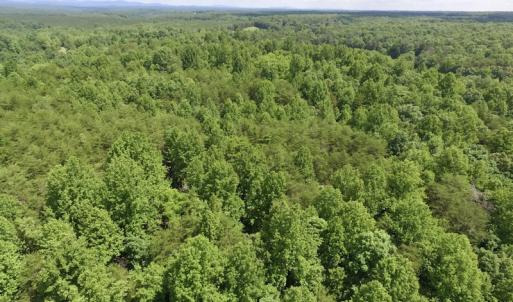 Photo #16 of SOLD property in Off Warminster Church Rd, Buckingham, VA 49.5 acres
