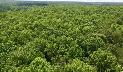 Photo #17 of SOLD property in Off Warminster Church Rd, Buckingham, VA 49.5 acres