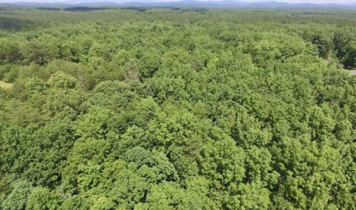 Photo #18 of SOLD property in Off Warminster Church Rd, Buckingham, VA 49.5 acres