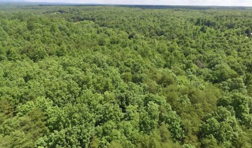 Photo #19 of SOLD property in Off Warminster Church Rd, Buckingham, VA 49.5 acres