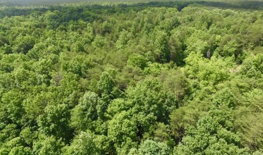 Photo #20 of SOLD property in Off Warminster Church Rd, Buckingham, VA 49.5 acres