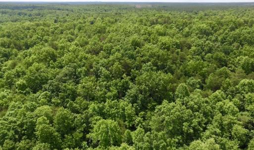 Photo #21 of SOLD property in Off Warminster Church Rd, Buckingham, VA 49.5 acres