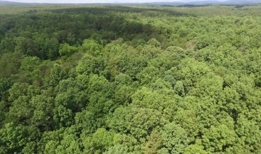 Photo #22 of SOLD property in Off Warminster Church Rd, Buckingham, VA 49.5 acres