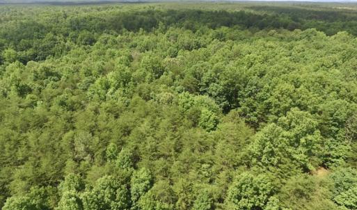 Photo #23 of SOLD property in Off Warminster Church Rd, Buckingham, VA 49.5 acres