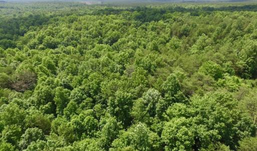 Photo #24 of SOLD property in Off Warminster Church Rd, Buckingham, VA 49.5 acres