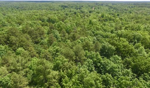 Photo #25 of SOLD property in Off Warminster Church Rd, Buckingham, VA 49.5 acres