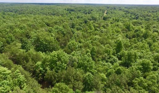 Photo #26 of SOLD property in Off Warminster Church Rd, Buckingham, VA 49.5 acres