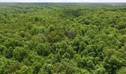Photo #27 of SOLD property in Off Warminster Church Rd, Buckingham, VA 49.5 acres