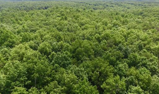 Photo #28 of SOLD property in Off Warminster Church Rd, Buckingham, VA 49.5 acres