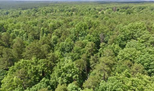 Photo #29 of SOLD property in Off Warminster Church Rd, Buckingham, VA 49.5 acres