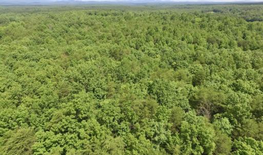 Photo #30 of SOLD property in Off Warminster Church Rd, Buckingham, VA 49.5 acres