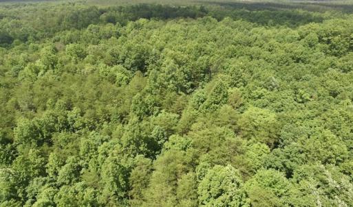 Photo #31 of SOLD property in Off Warminster Church Rd, Buckingham, VA 49.5 acres