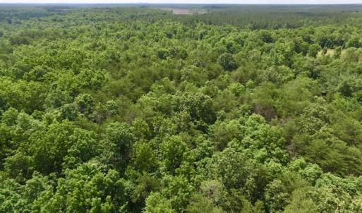 Photo #32 of SOLD property in Off Warminster Church Rd, Buckingham, VA 49.5 acres