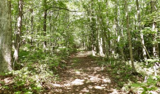 Photo #34 of SOLD property in Off Warminster Church Rd, Buckingham, VA 49.5 acres