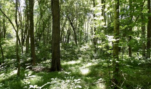 Photo #35 of SOLD property in Off Warminster Church Rd, Buckingham, VA 49.5 acres