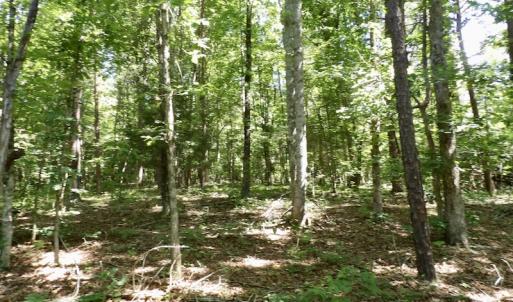 Photo #38 of SOLD property in Off Warminster Church Rd, Buckingham, VA 49.5 acres