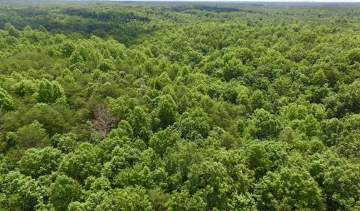 Photo #4 of SOLD property in Off Warminster Church Rd, Buckingham, VA 49.5 acres