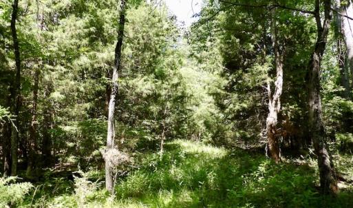 Photo #40 of SOLD property in Off Warminster Church Rd, Buckingham, VA 49.5 acres