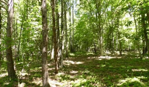Photo #42 of SOLD property in Off Warminster Church Rd, Buckingham, VA 49.5 acres