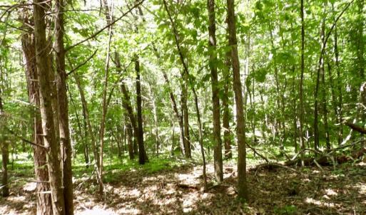 Photo #44 of SOLD property in Off Warminster Church Rd, Buckingham, VA 49.5 acres